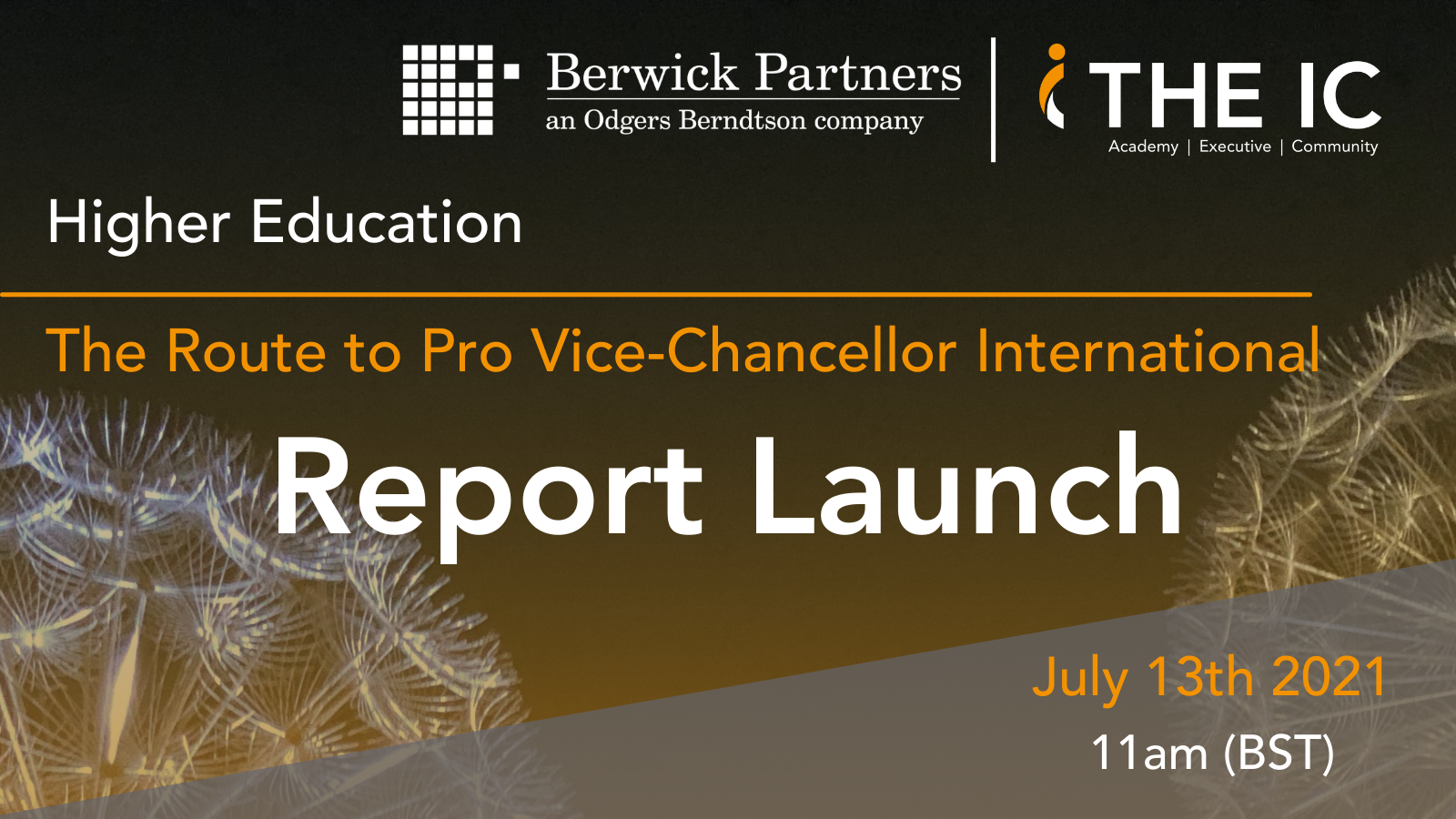 “Report Launch: The Route to Pro Vice-Chancellor International”