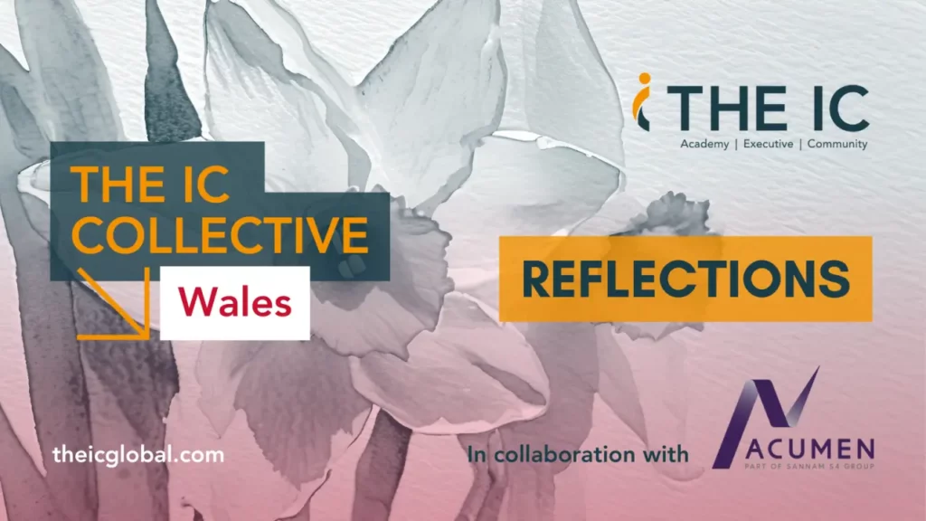 The IC Collective Reflections-article image