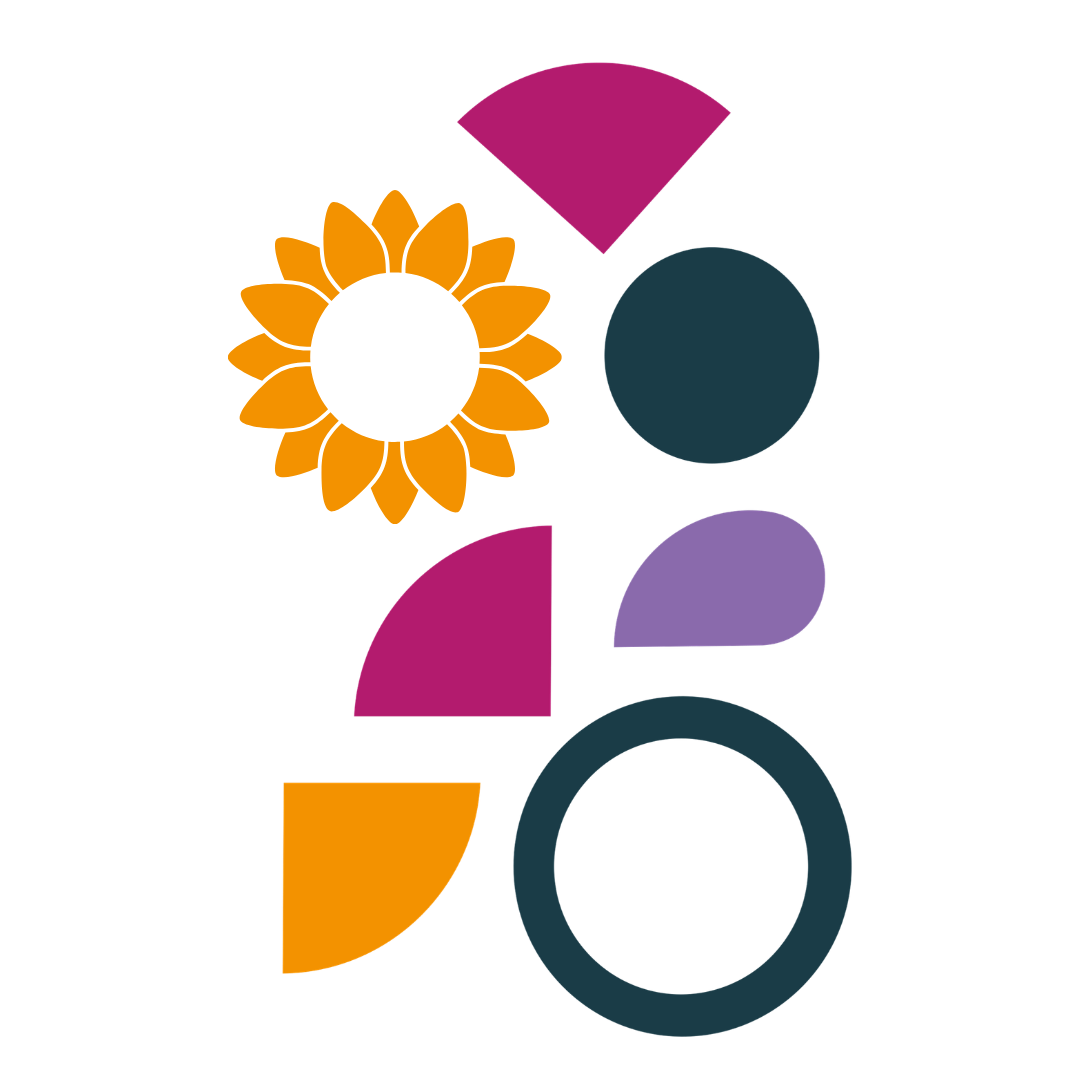 CA Scholarship Programme logo
